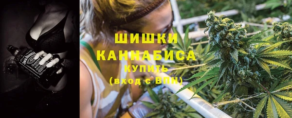 крисы Белоозёрский