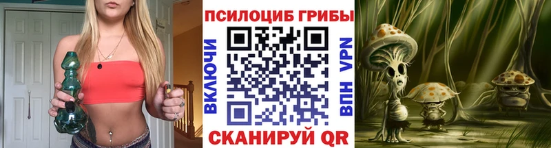 Галлюциногенные грибы ЛСД  kraken ССЫЛКА  Новотитаровская 